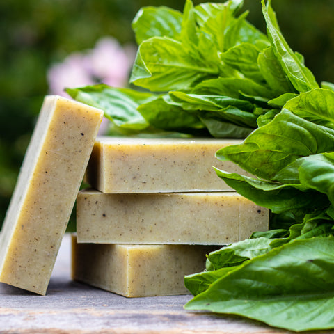 Natural Organic Soap Sweet Basil
