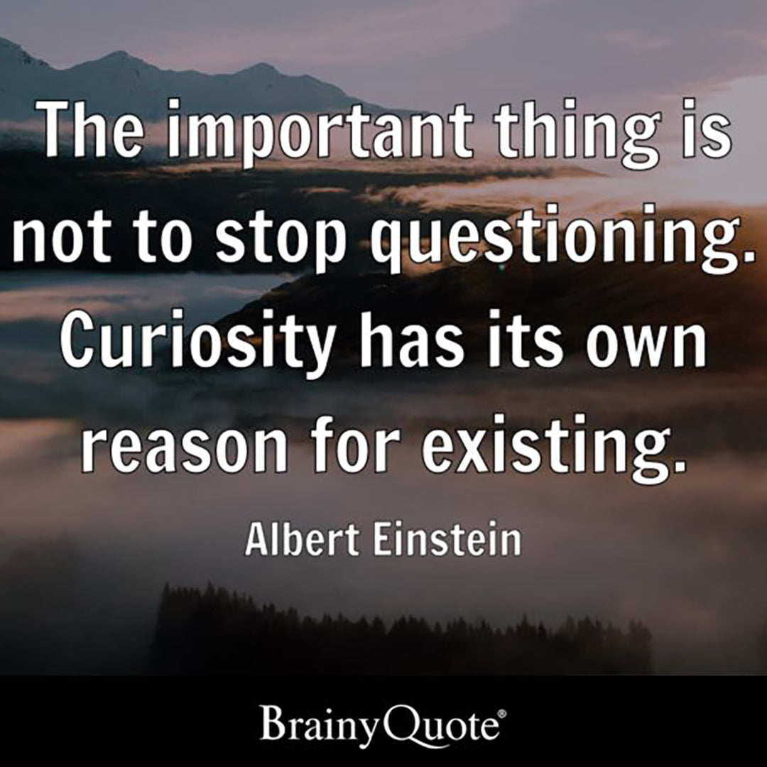Einstein Quote Never Stop Questioning