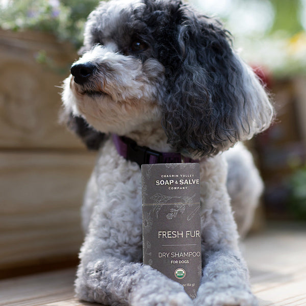 Natural Organic Dog Pet Care Products