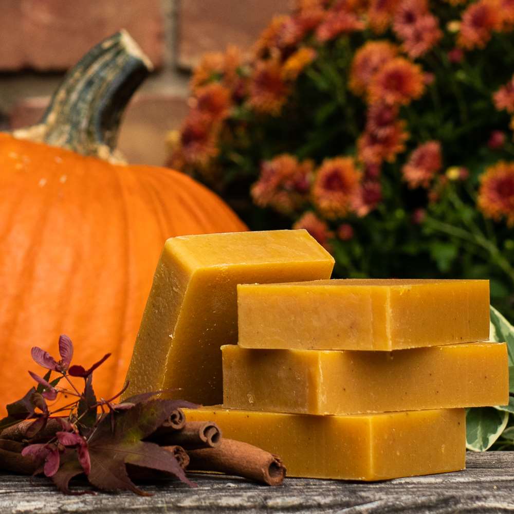 Organic Pumpkin Spice Soap Bar