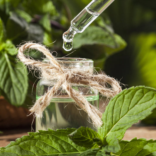 Natural Organic Peppermint Essential Oil Skin Care